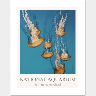 National Aquarium, Baltimore MD Posters and Art